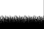 Wheat Field Border Bundle, an Illustration by Designs_River (Thumbnail 6 of 9)
