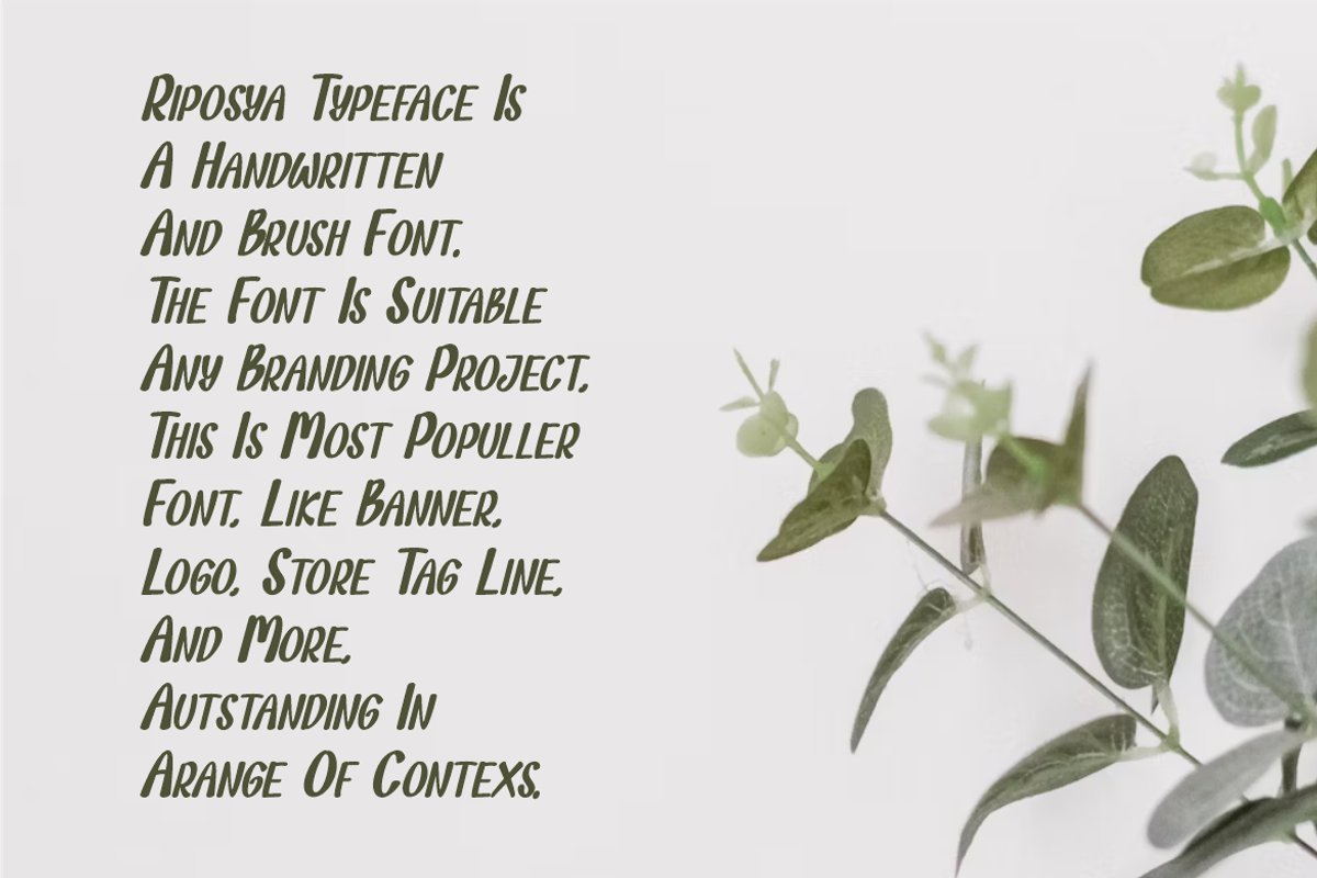 Riposya Typeface, a Handwritten Font by QR Design Studio (Photo 2 of 9)