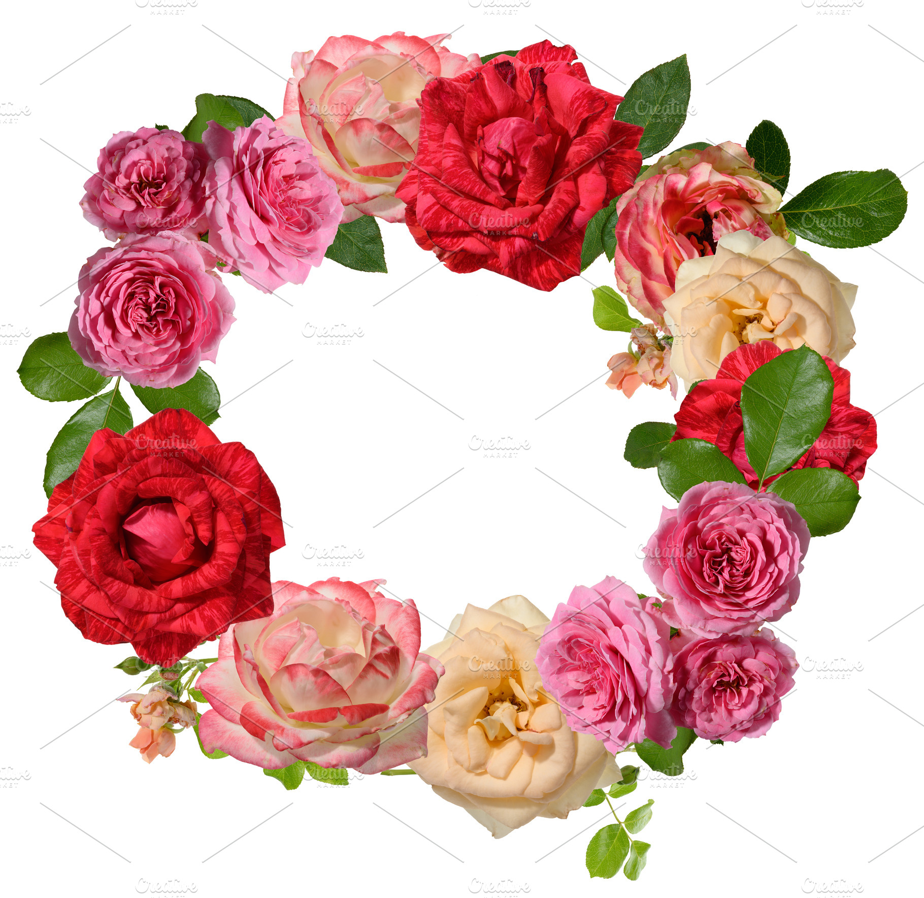 A wreath composed of roses in various shades, from soft pink and, a Nature Photo by ndanko