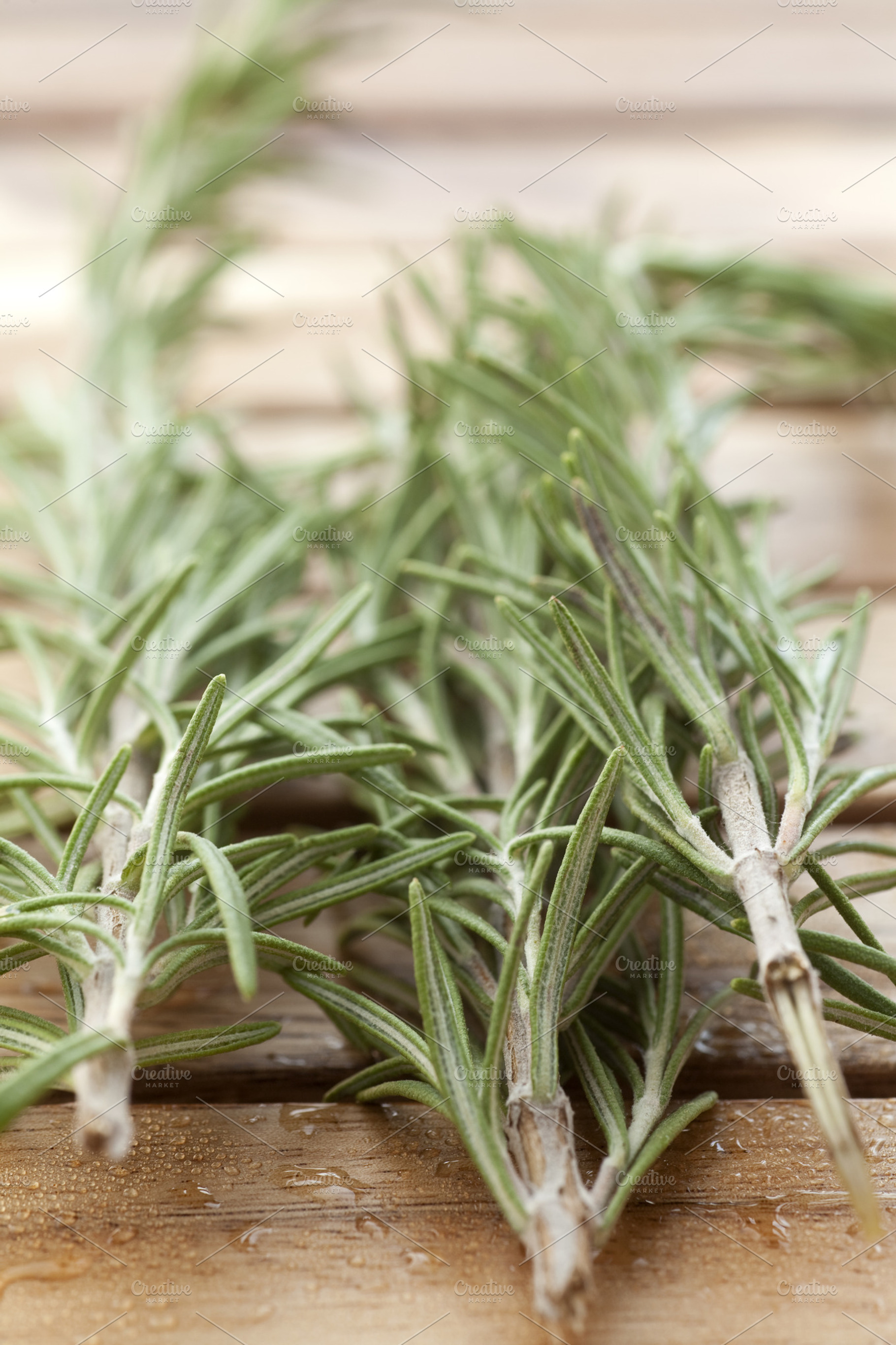 Rosemary
