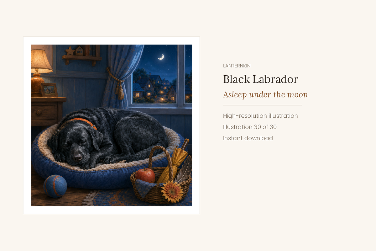 Black Labrador Illustrations, 30, an Animal Illustration by LanternkinStudio (Photo 13 of 14)