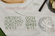 Viola Essence – Creative Serif Font, a Serif Font by Vadovastd (Thumbnail 6 of 7)