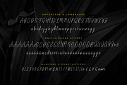 Fioretta Millano – Stylish Signature, a Script Font by Almarkhatype (Thumbnail 9 of 10)