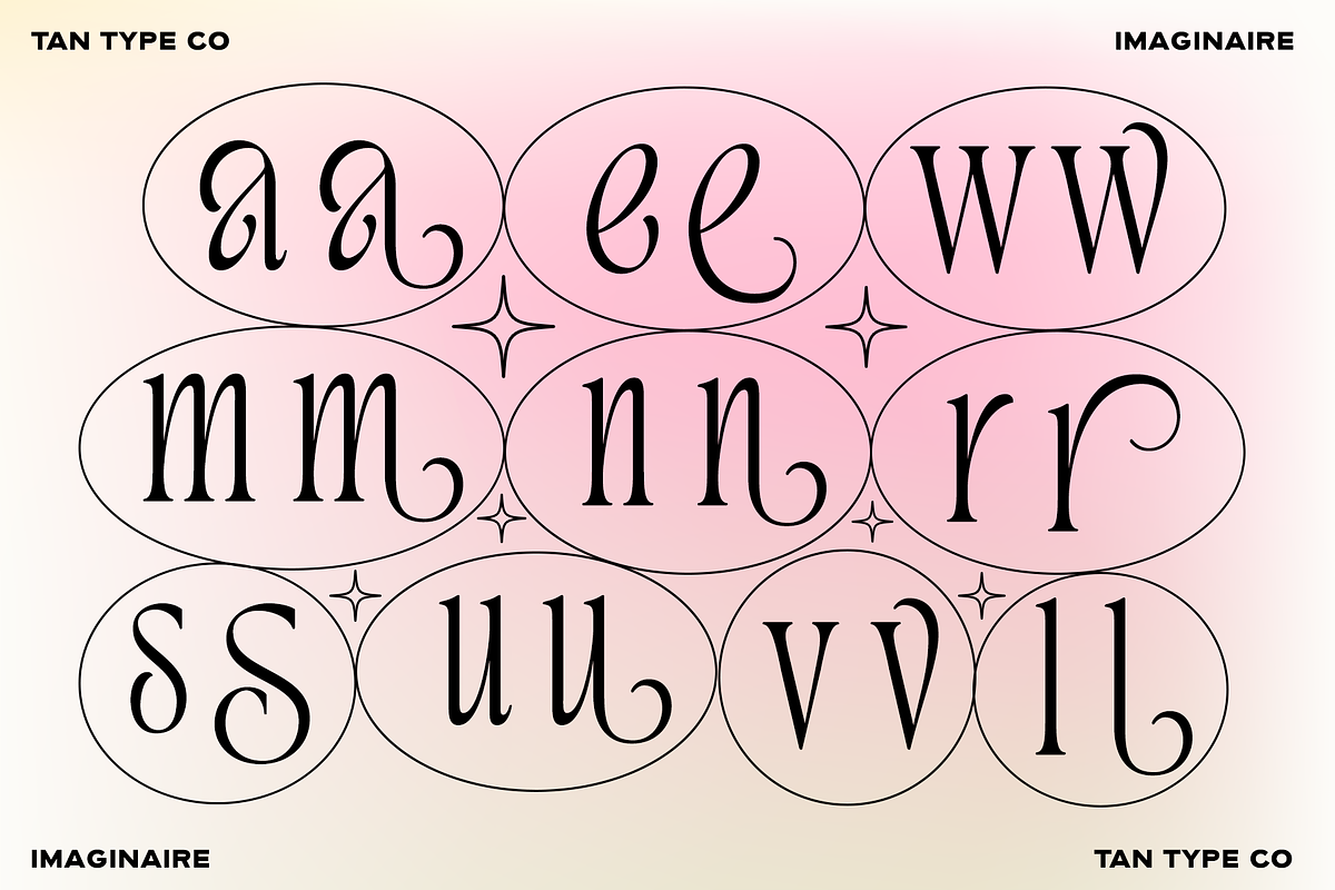 TAN - IMAGINAIRE, a Serif Font by TanType (Photo 9 of 12)