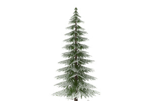 Canadian Spruce Tree Snow V3