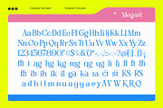 Megast Modern Serif Display, a Serif Font by timelesstype.co (Thumbnail 9 of 10)