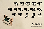 Sonance - Timeless Retro Font, a Serif Font by Windfall Co (Thumbnail 10 of 10)