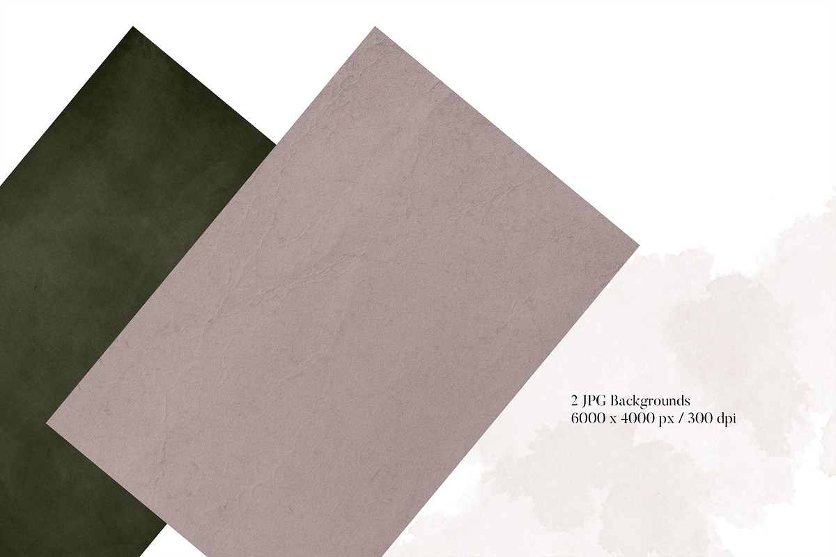 Isolated real flowers clipart set, an Object Graphic by The Graphic Parade (Photo 8 of 14)