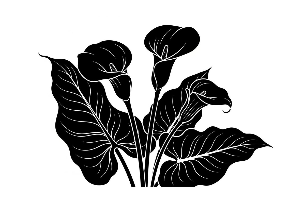 Black Lily Flower Vector Bundle, an Illustration by Designs_River (Photo 27 of 51)