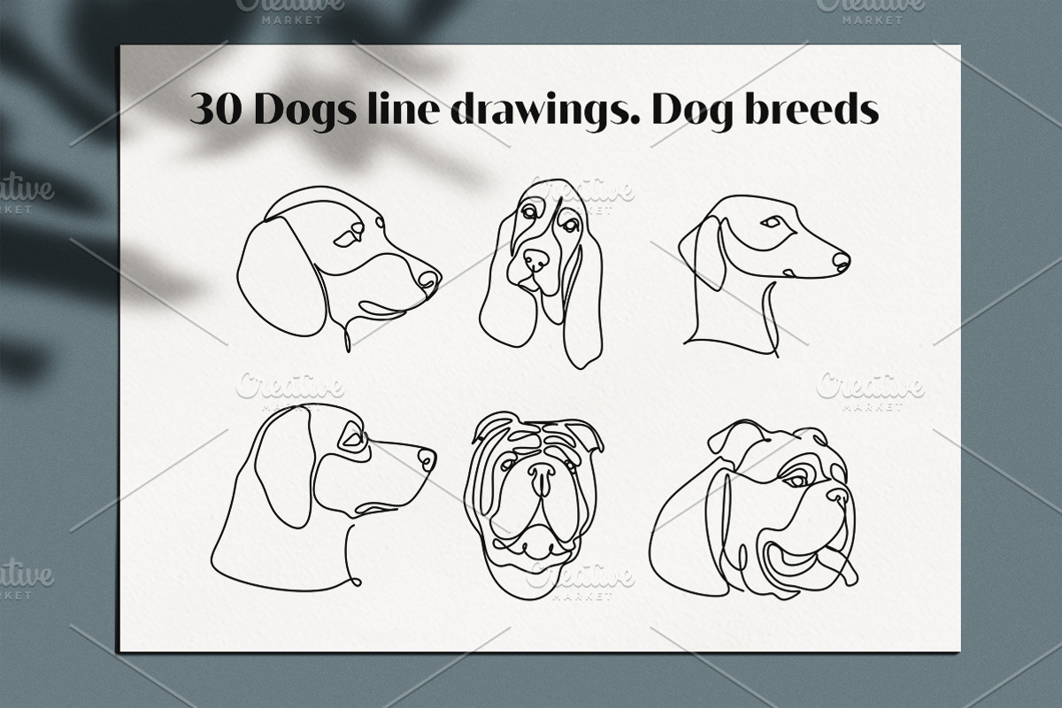 30 Dogs line drawings. Dog breeds, an Outline Icon by velychko.ua (Photo 9 of 9)