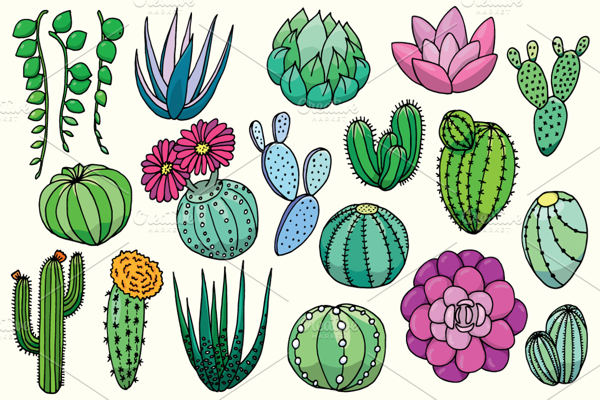 20 hand drawn cactuses & succulents, a Decorative Illustration by pixelwerk (Photo 2 of 5)