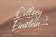 Qillsey Einstein - Handbrush, a Script Font by Monoco Type Foundry (Thumbnail 1 of 12)