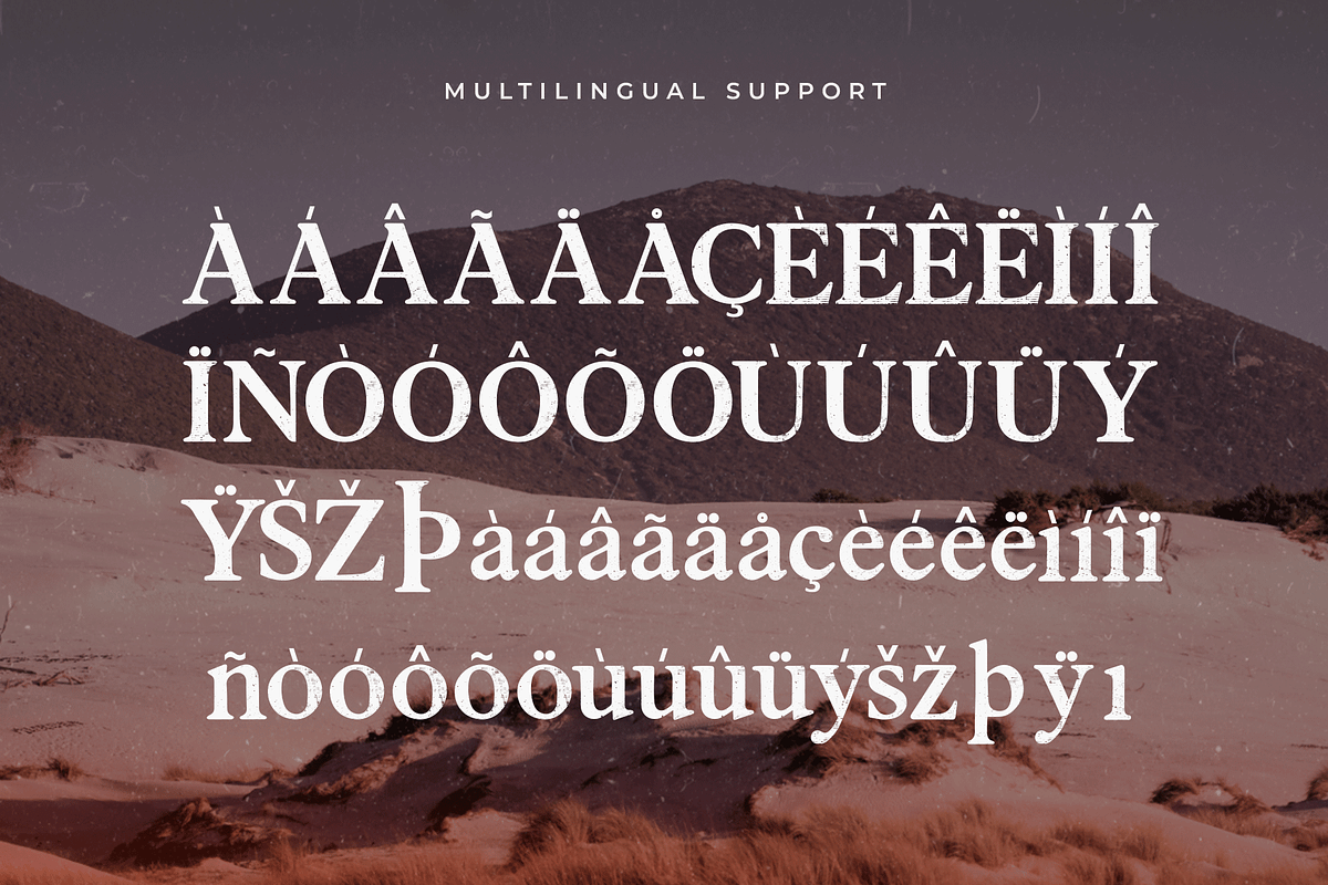 Anarcopy – Modern Trash Serif Font, a Serif Font by overlaytemplates (Photo 5 of 5)