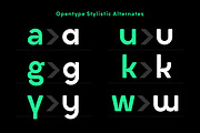 Liber Text, a Sans Serif Font by Hederae Type Foundry (Thumbnail 9 of 11)