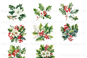 Watercolor Holly Flower, Christmas