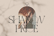 THE FRENCH KISS ROYAL TYPEFACE, a Serif Font by SilverStag Type Foundry (Thumbnail 8 of 23)