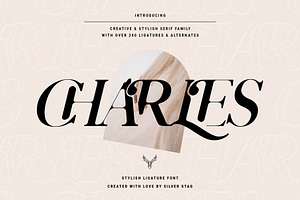 Chic & Elegant Serif Font Bundle