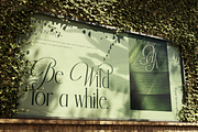 Rosean Monarch, a Serif Font by Burntilldead (Thumbnail 7 of 12)