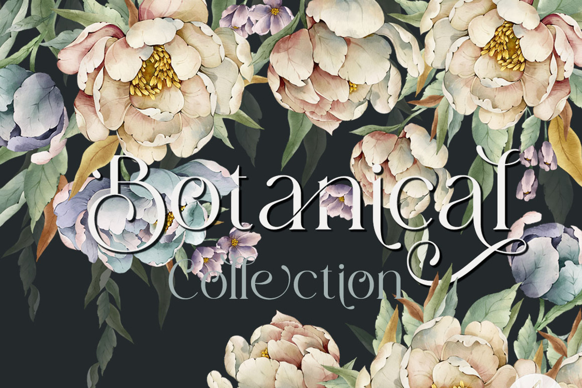 Watercolor flowers bloom set, a Decorative Illustration by AP Studio (Photo 1 of 18)