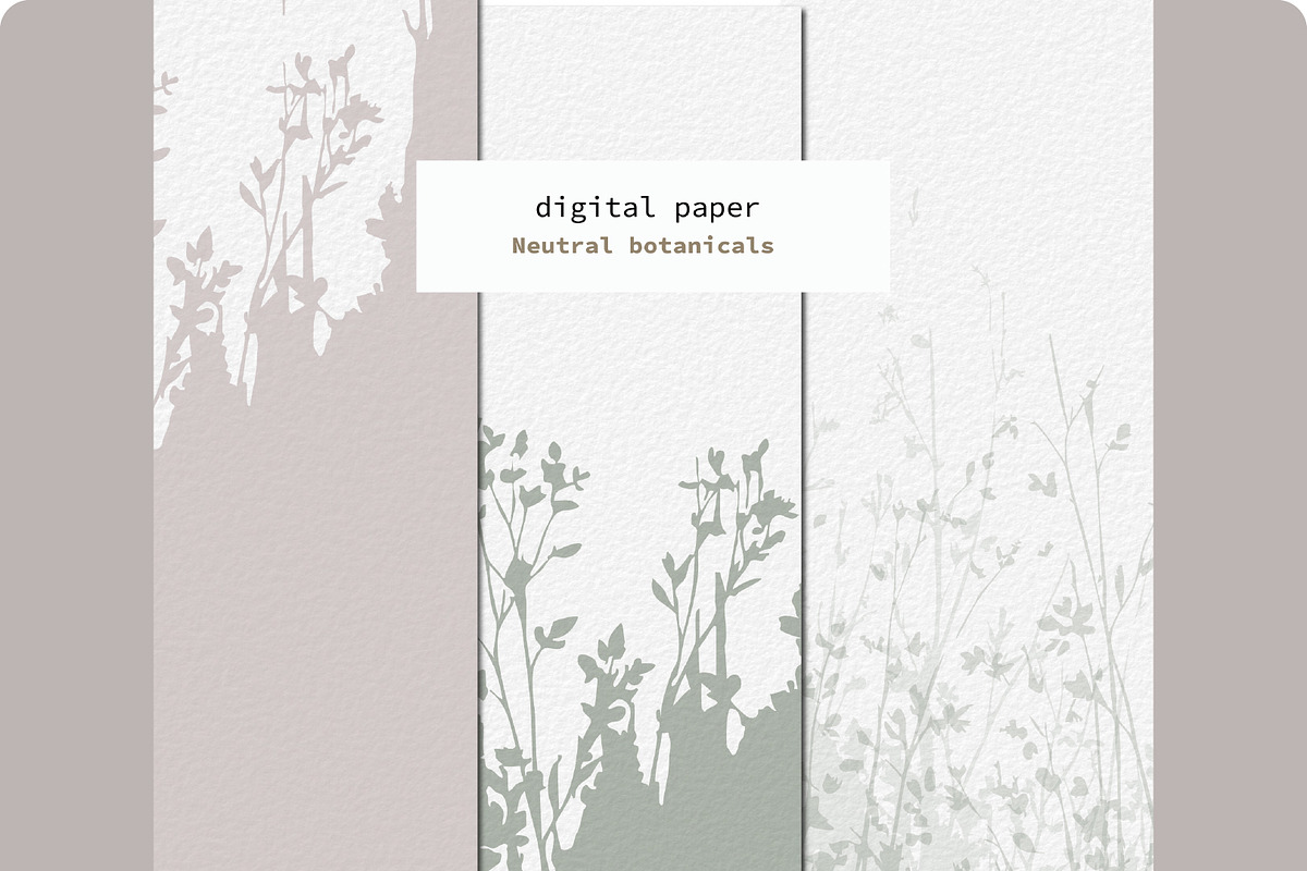 Neutral Botanical Backgrounds, a Background Graphic by Anna Sokol (Photo 2 of 10)
