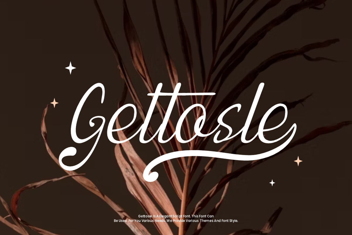 Gettosle - Elegant Script Font, a Handwritten Font by Iqsiart Studio (Photo 1 of 7)