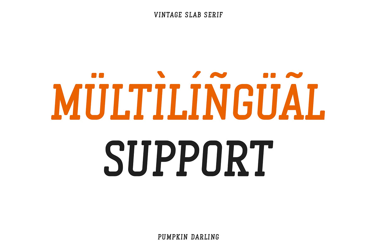 Pumpkin Darling - Slab Serif Font, a Slab Serif Font by ariodsgn (Photo 3 of 7)