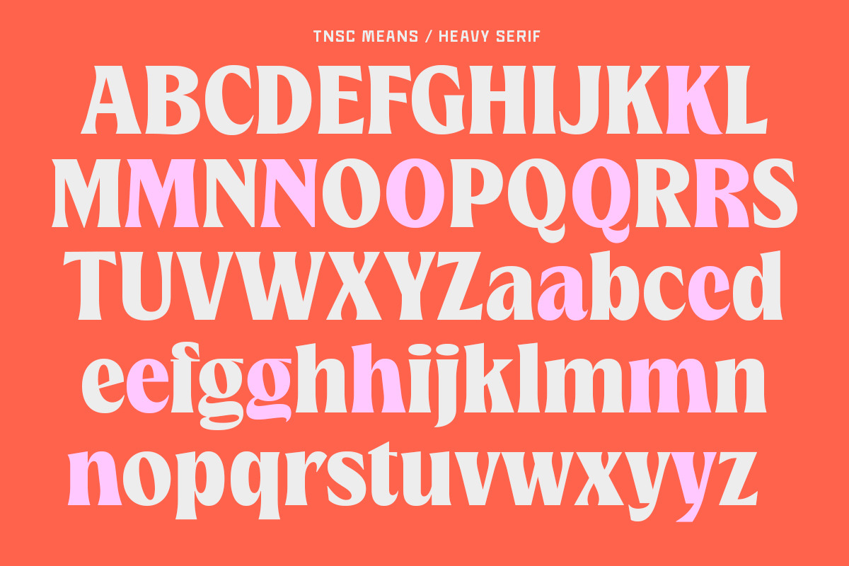 TNSC Means - Heavy Serif, a Serif Font by The Native Saint Club (Photo 12 of 12)