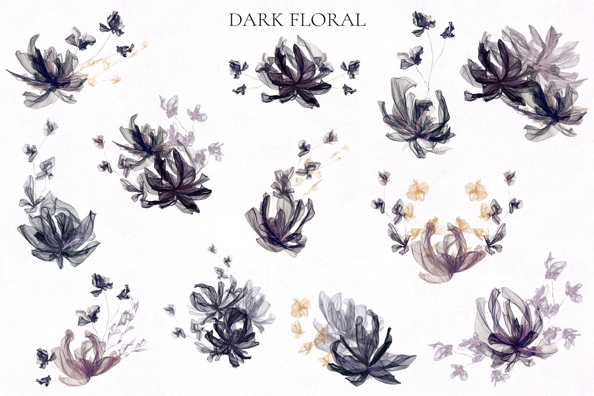 Dark Floral, an Illustration by Salted Galaxy (Photo 9 of 18)