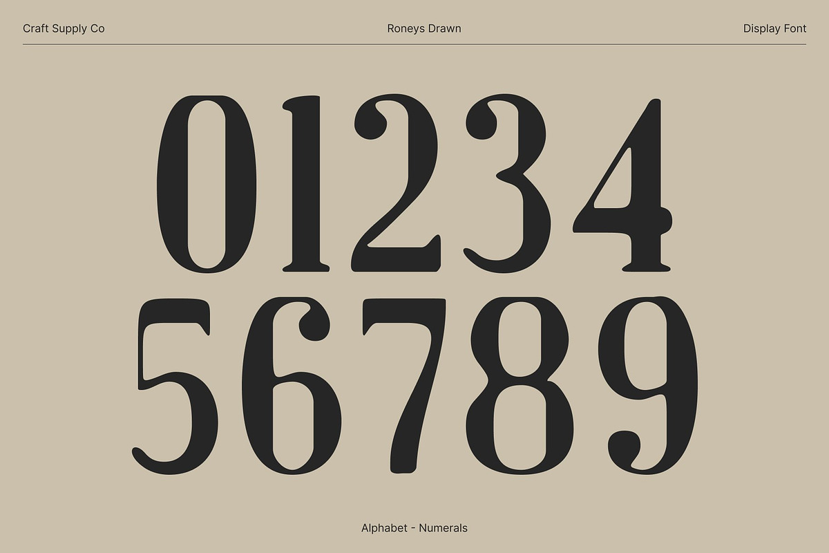 Roneys Drawn, a Serif Font by Craft Supply Co. (Photo 4 of 8)