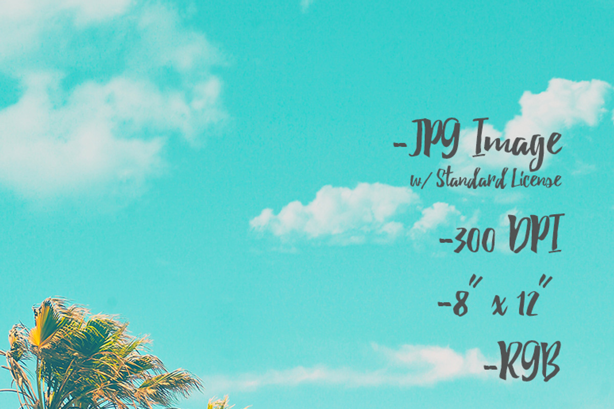 Save the Date Cards:: TROPICAL/RETRO, an Invitation Template by Ari Photography (Photo 2 of 9)