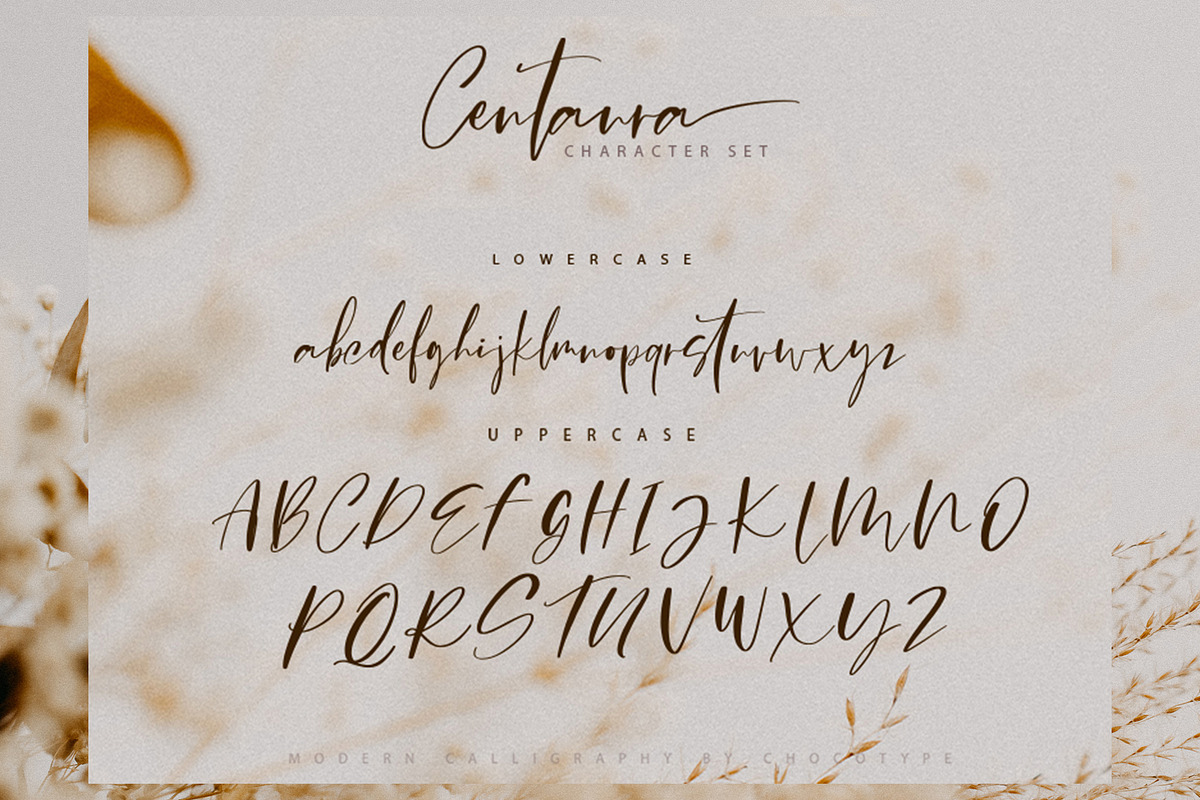 Centaura Script, a Script Font by Chocotype Std (Photo 6 of 8)