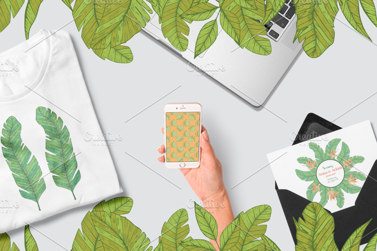 Tropical fruits collection, a Decorative Illustration by TashaDraw (Photo 7 of 10)