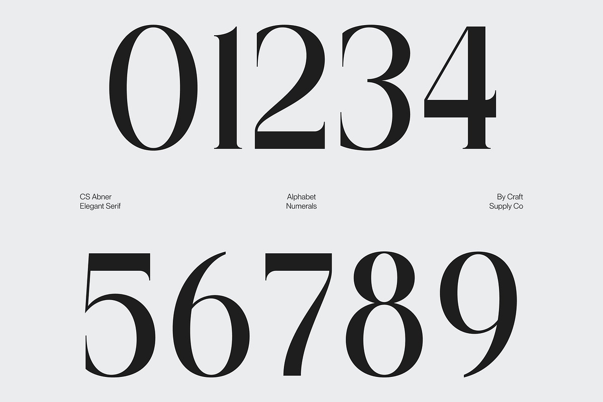 CS Abner – Elegant Serif Font, a Serif Font by Craft Supply Co. (Photo 5 of 8)