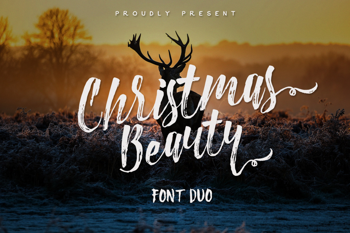 Christmas Beauty + Swashes, a Script Font by Hart Foundry™ (Photo 1 of 7)
