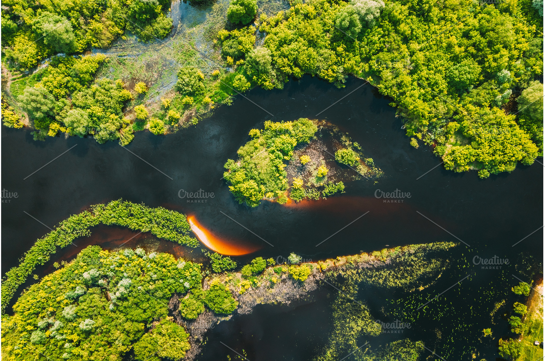 Aerial view. Green forest and river, a Nature Photo by Our Amazing World