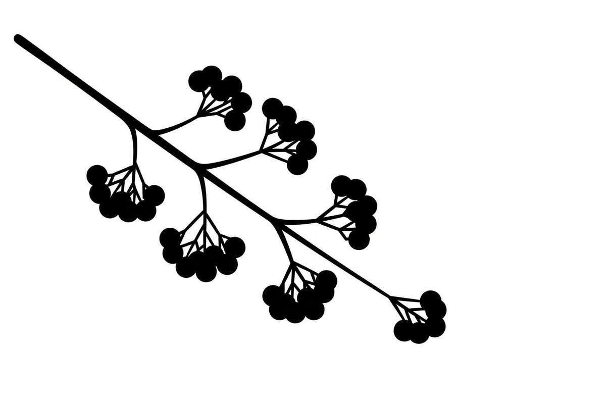 Floral Ornament Silhouette Bundle, an Illustration by BIPLOB EXPERT (Photo 24 of 51)