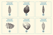 VECTOR SEASHELL HAND DRAWN BUNDLE 22, an Illustration by pawellpi (Thumbnail 2 of 10)