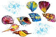 set of watercolor fish and shells, an Animal Illustration by art_mouse (Thumbnail 3 of 7)