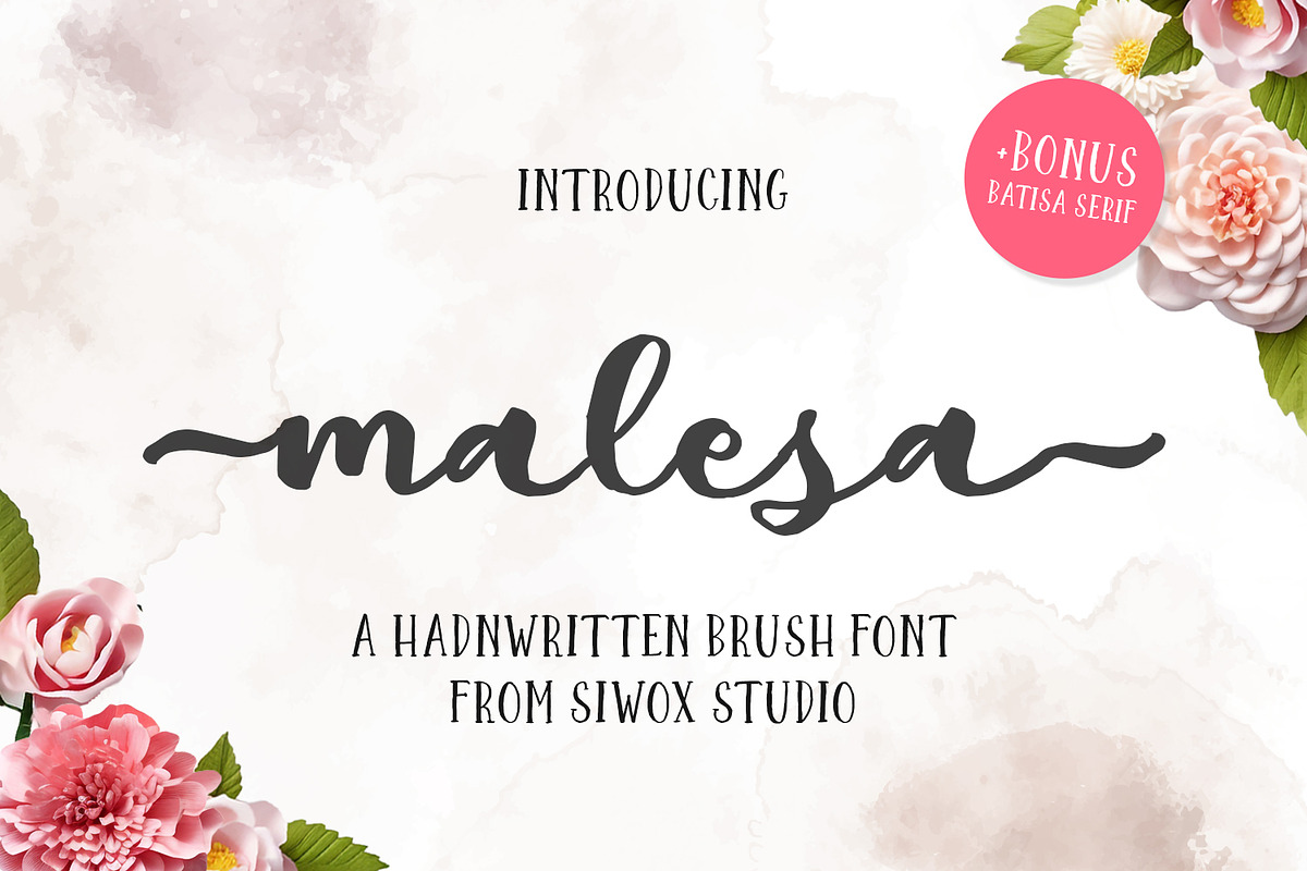 Malesa Brush font, a Handwritten Font by Siwox Studios (Photo 1 of 8)