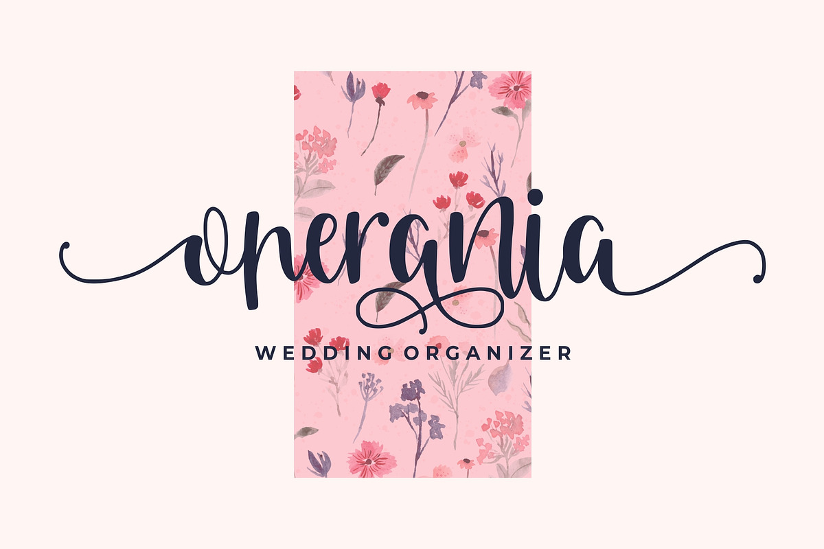 Venoisse - Modern Calligraphy preview 3