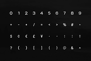 Stark Nue - a Premium Sans-serif, a Sans Serif Font by Webhance Studio (Thumbnail 6 of 10)