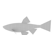 Chub, an Animal 3D Model by AndrewWhite (Thumbnail 13 of 21)