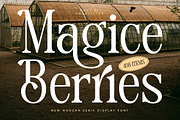 Magice Berries A New Modern Serif, a Serif Font by AmorfaType (Thumbnail 1 of 10)