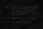Bugist Elegant Serif Font, a Serif Font by Graphicxell (Thumbnail 7 of 8)