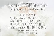 Wedding | Script Font, a Handwritten Font by Scratchones (Thumbnail 7 of 9)