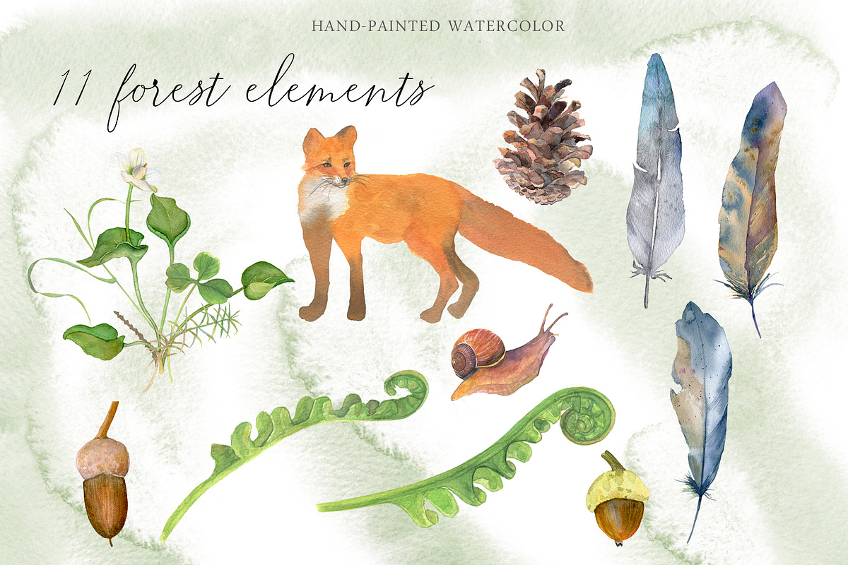 Watercolor: set of forest elements, a Graphic by WatercolorAnn (Photo 8 of 13)