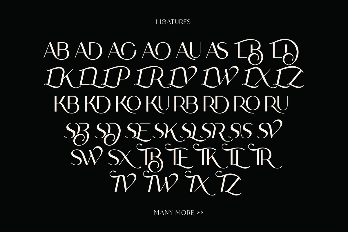 Loving Ambros, a Sans Serif Font by Say Studio (Photo 14 of 15)
