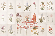 Hortus Vintage Flowers Prints, a Decorative Illustration by Digital Museum (Thumbnail 9 of 9)