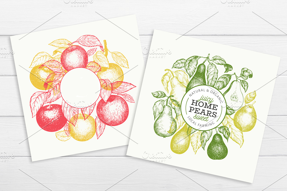 Apple & Pear Vector Collection, a Food Illustration by Lubov Illustrations Shop (Photo 3 of 4)