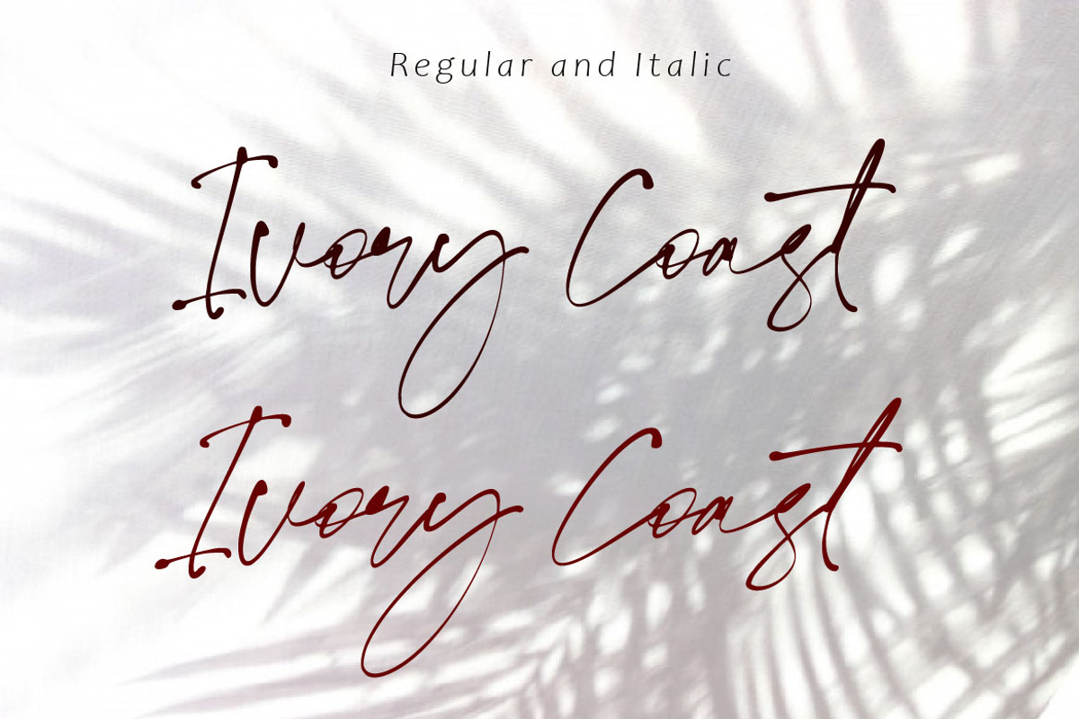 Ivory Coast, a Script Font by AMINMARIO (Photo 6 of 10)
